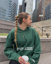 Seek Jesus Holiday Mystery Box